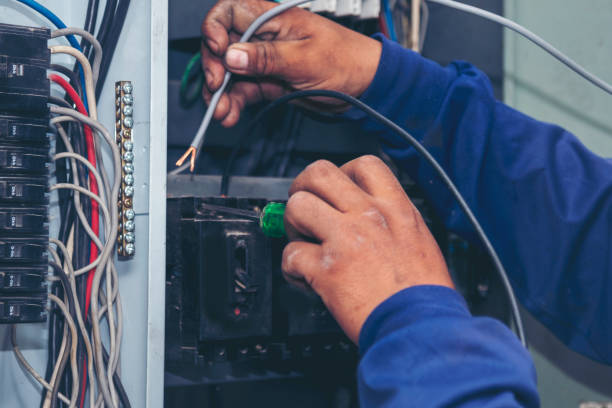 Best Licensed Electrician  in Dolgeville, NY