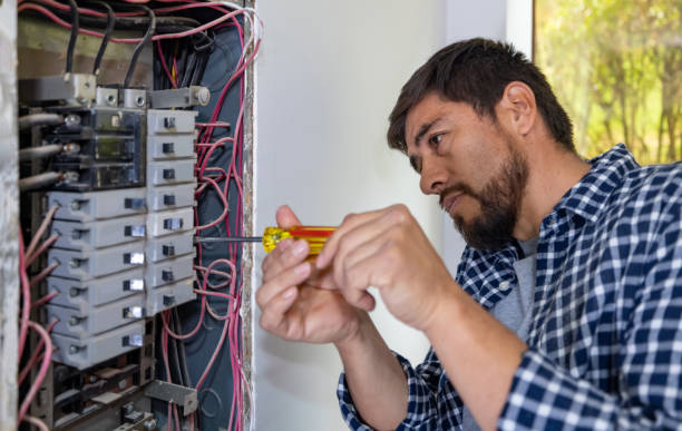 Best Ceiling Fan Installation Electrician  in Dolgeville, NY